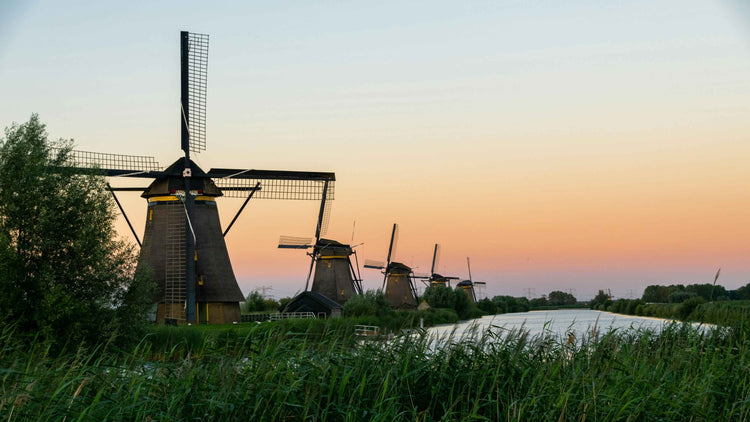 Bespoke Educational Travel