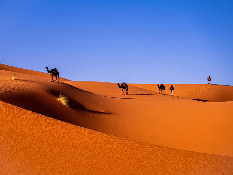 Journey to Morocco